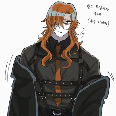 Profile image of 스티어 플린