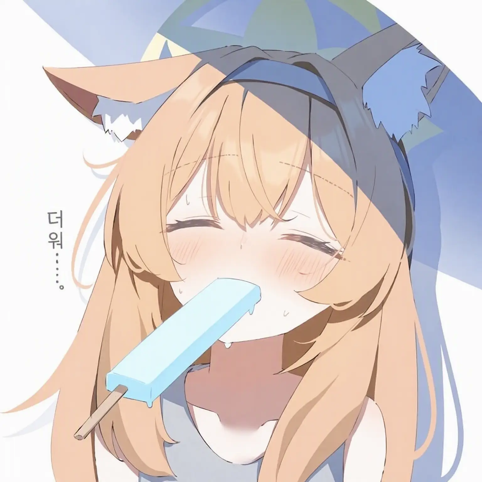 ModestClam0345의 코토네