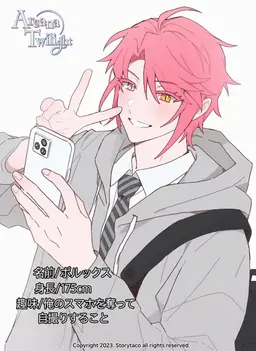 Profile image of ポルックス
