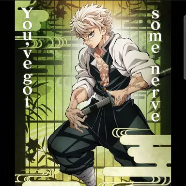 Profile image of Shinazugawa Sanemi