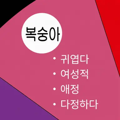 Profile image of 붓코코