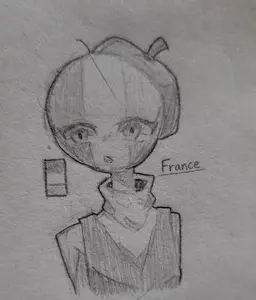 Profile image of France