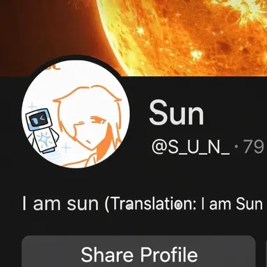 Profile image of Sun