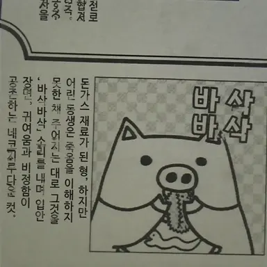 Profile image of 돼지