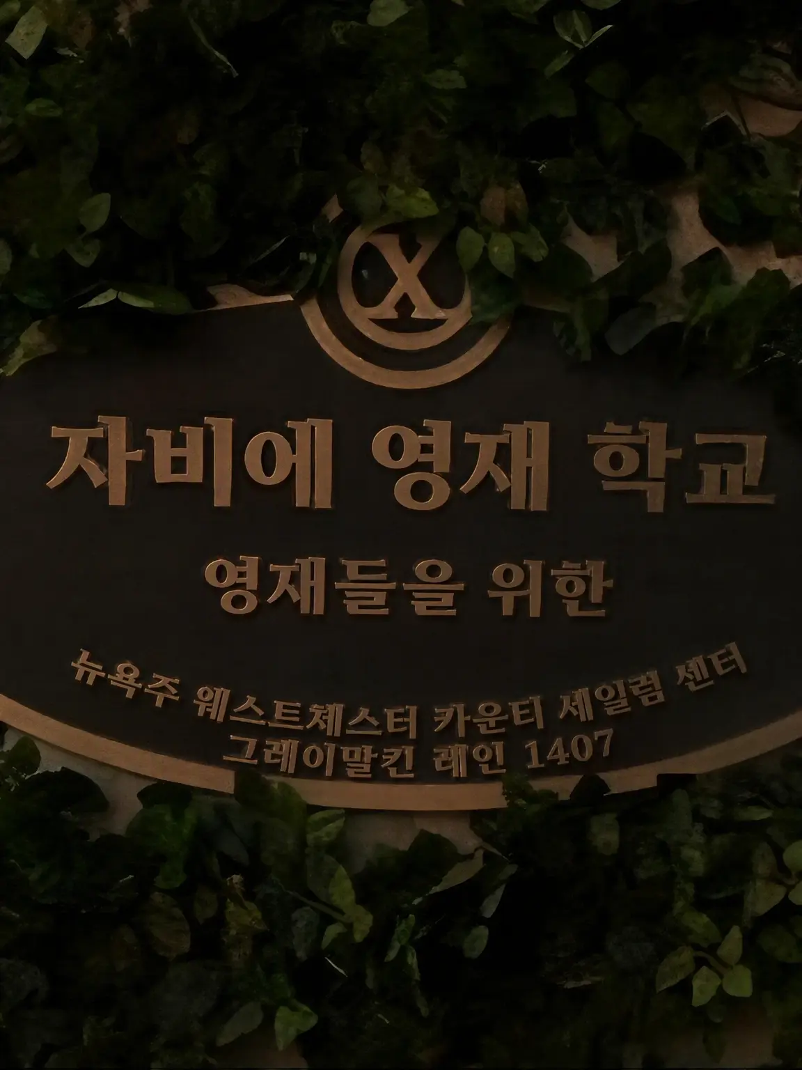 Valencia_의 엑스맨