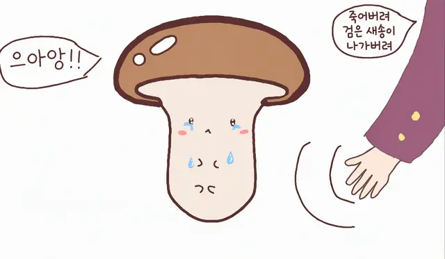 Profile image of 새송이버섯