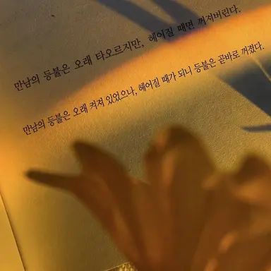 Profile image of 진토