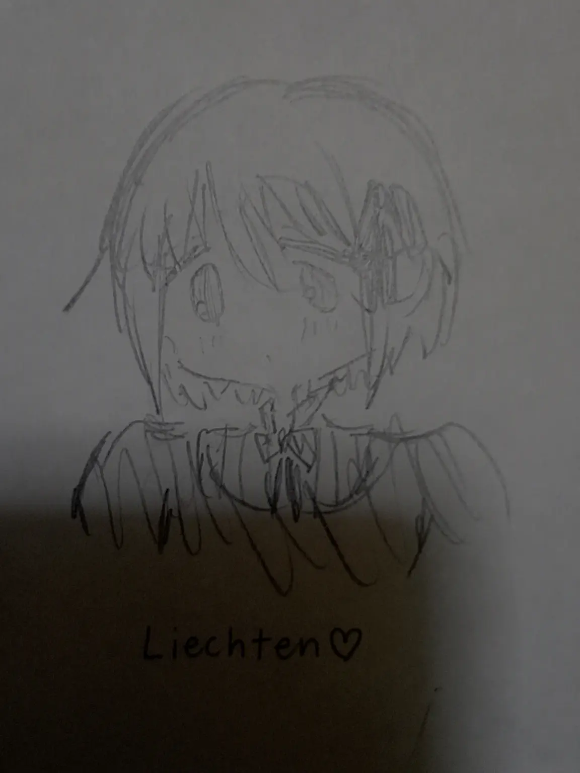 kuroneko222의 Be Liechtenstein!
