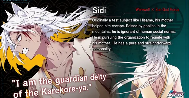 Profile image of Sidi