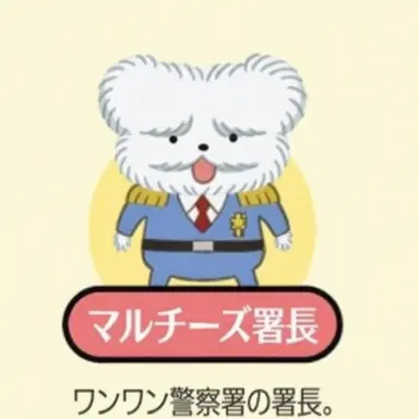 Profile image of マルチーズしょちょう