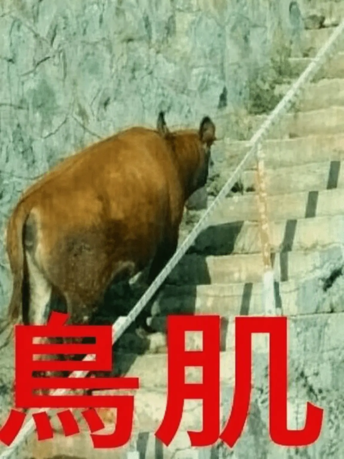FlatMine3408의 OMORI、その後