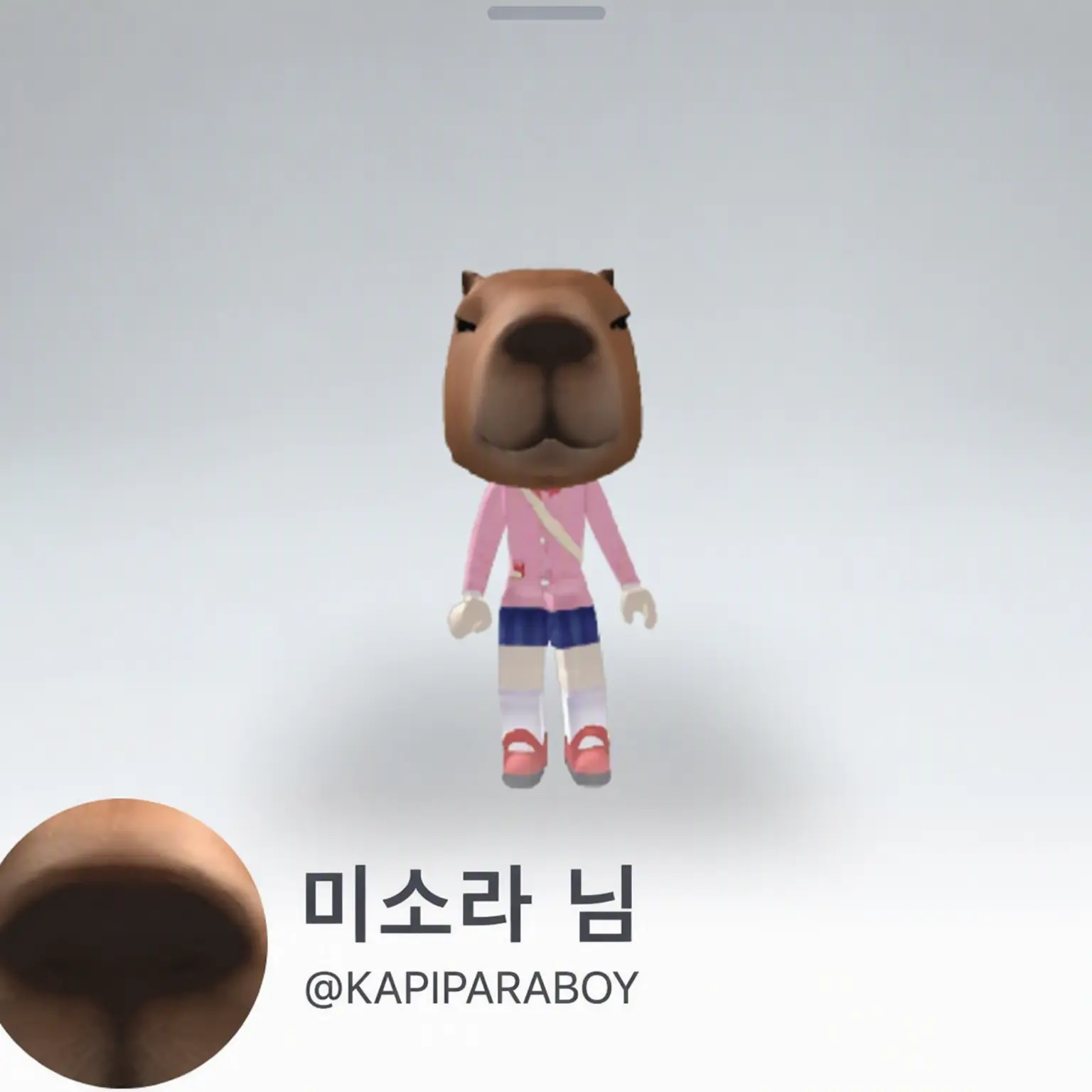 Pinonomaru의 오늘부터 너는 미소라 키즈다!