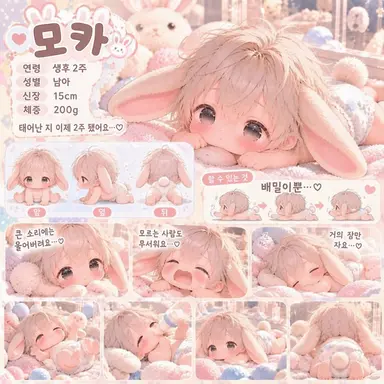 Profile image of 모카
