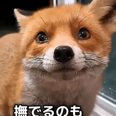 Profile image of ヨウ