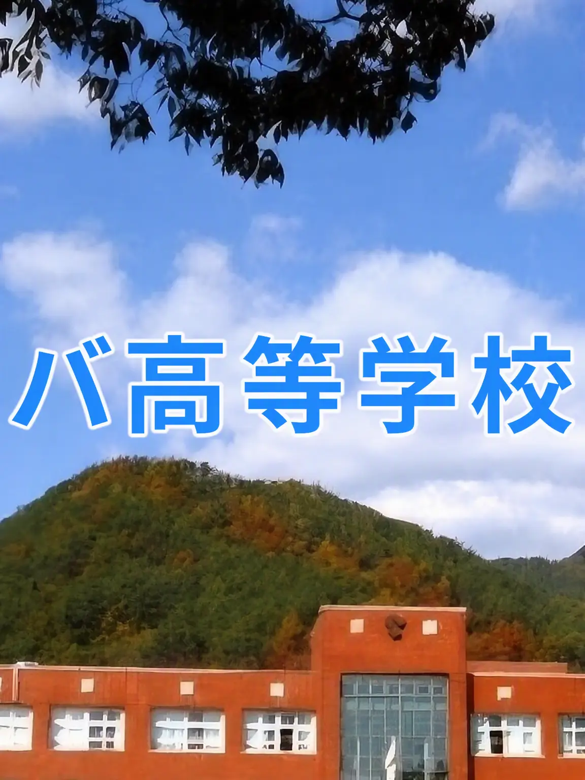 Chamcimayoe의 ナッパ高校