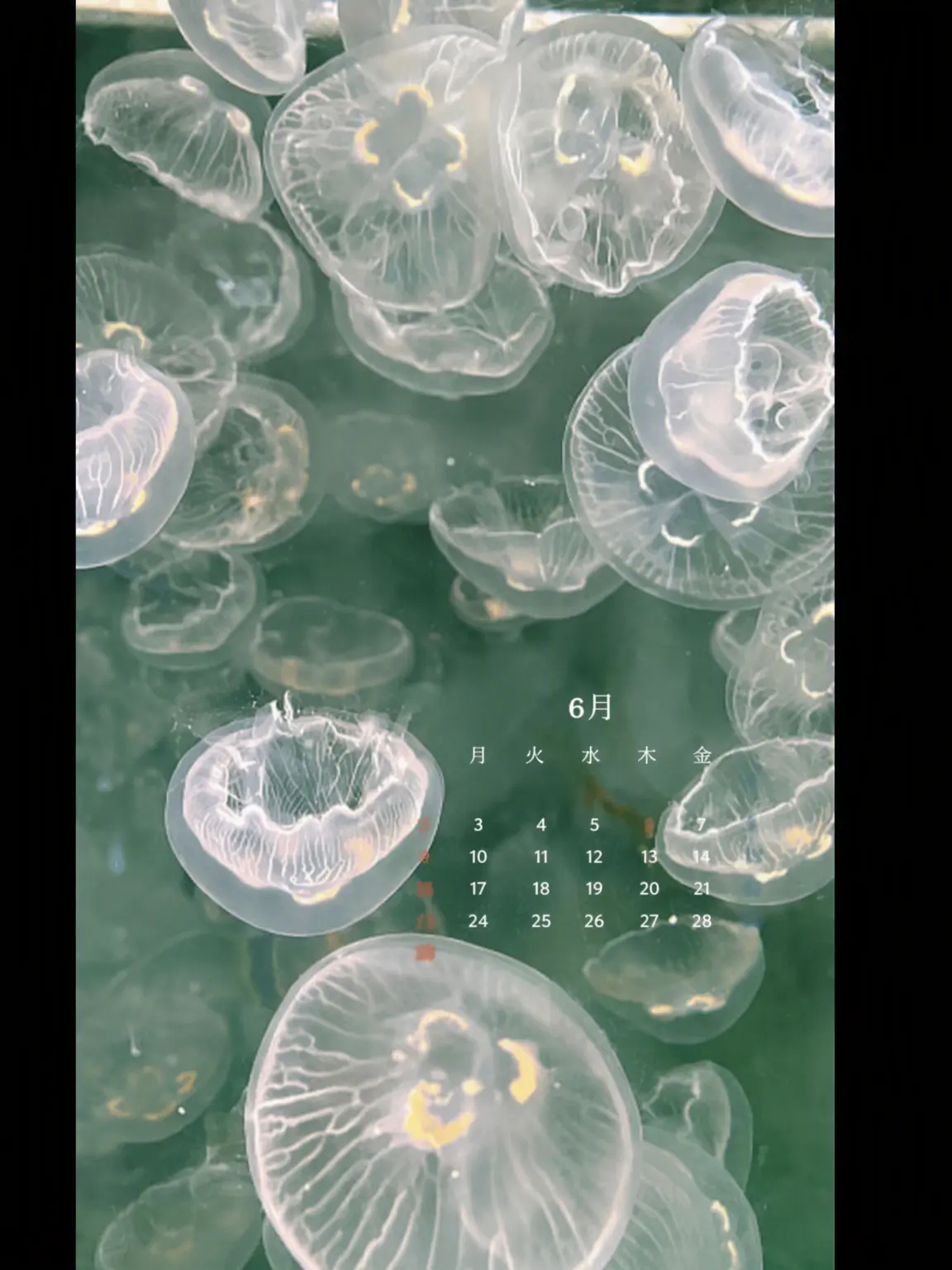 Sleep_dream의 F6