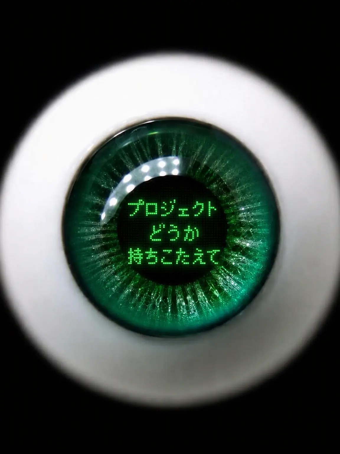 unagisusi의 [Pro.PHO.] どうか、生き延びて