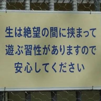 Profile image of パクモ