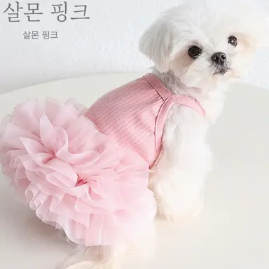 Profile image of 카구라
