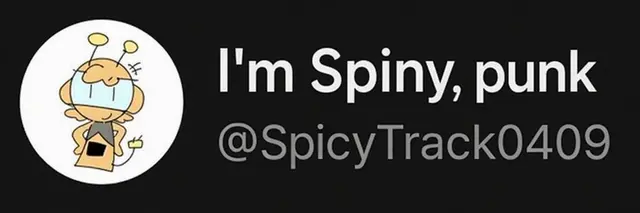 Profile image of Spinny