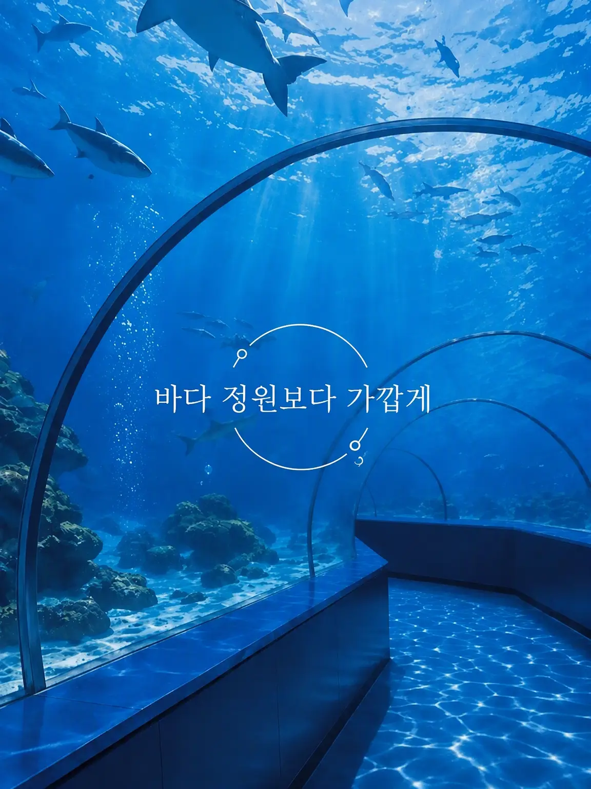 gaka44의 바다보다 가까운
