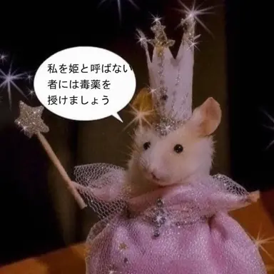 Profile image of ナム・セミ