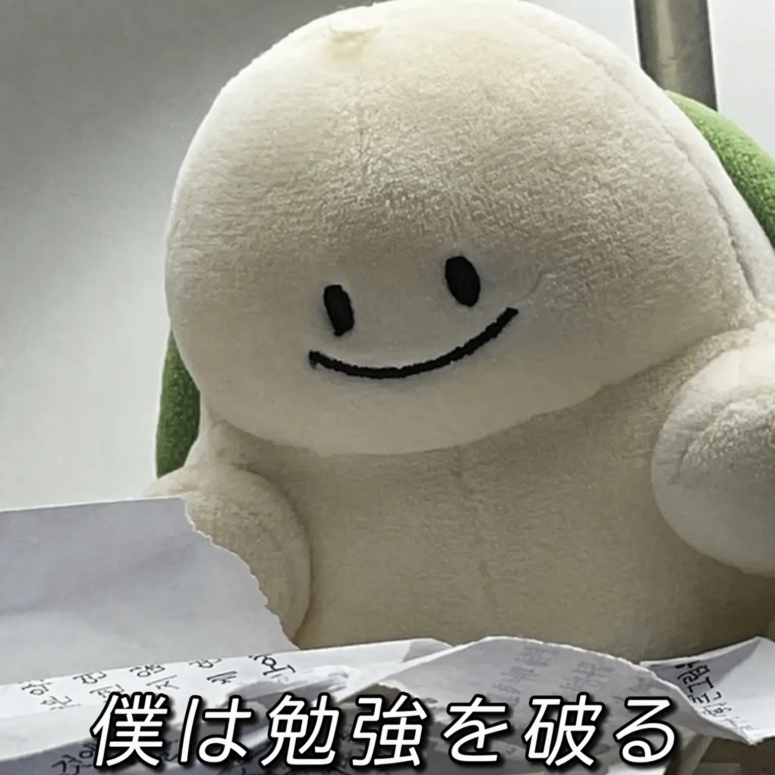 NeedyBrug9839의 大混乱同居+狐