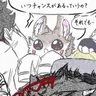 Profile image of フェリー