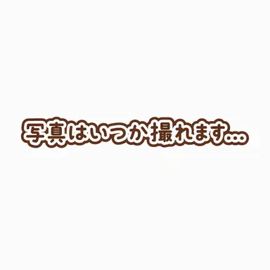 Profile image of シェドレツキー