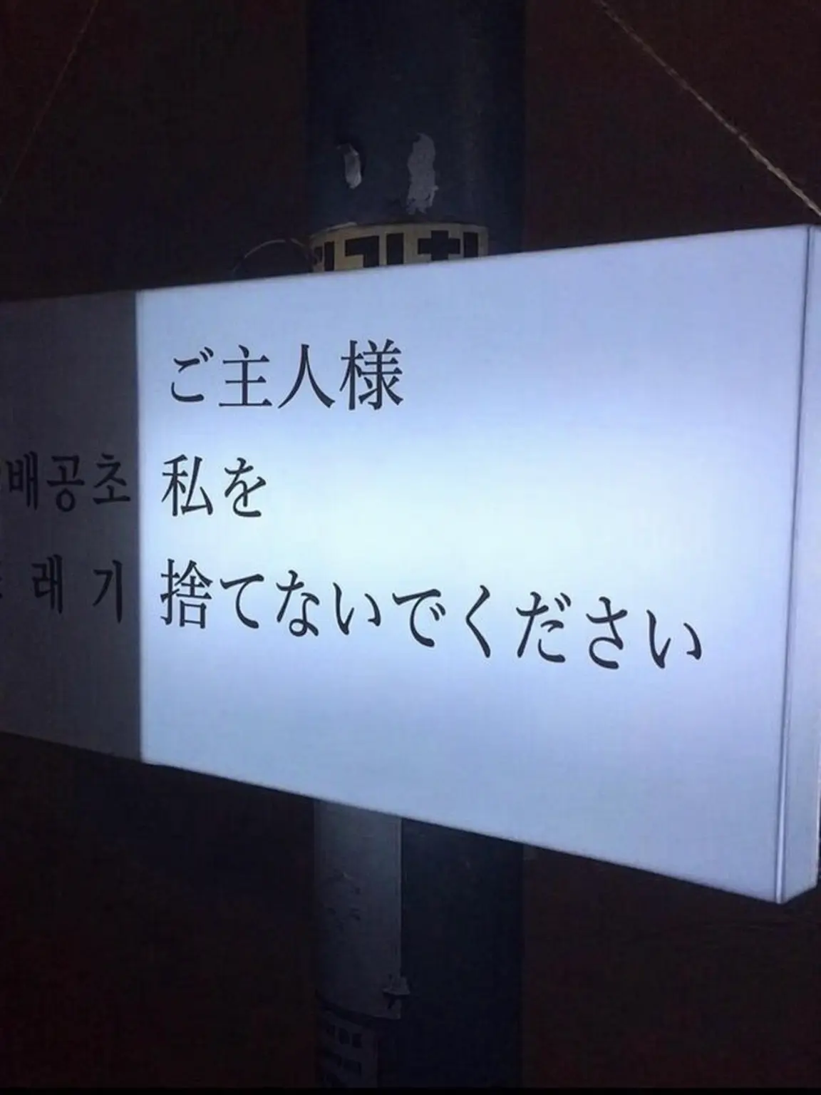 tyuiop8의 狂おしい愛をしよう。