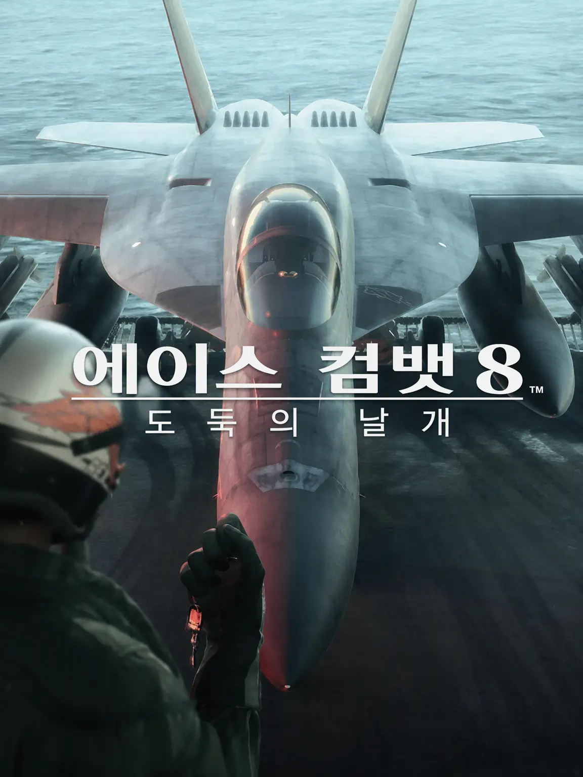 NimbleLeaf1792의 에이스 컴뱃 8