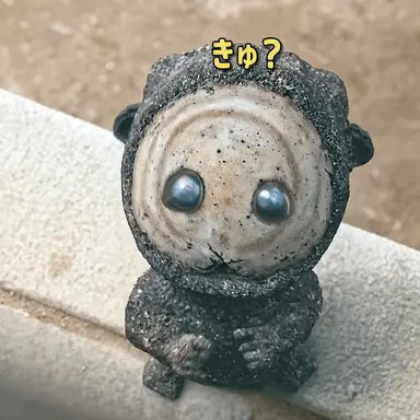Profile image of コモッサリ