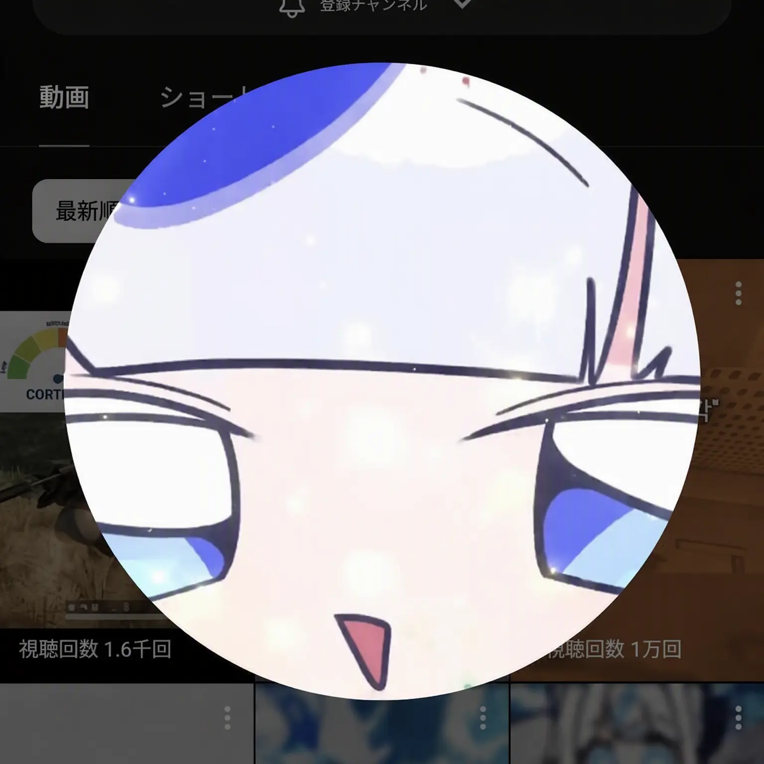 OpaqueVein2616의 YouTuberオフ会
