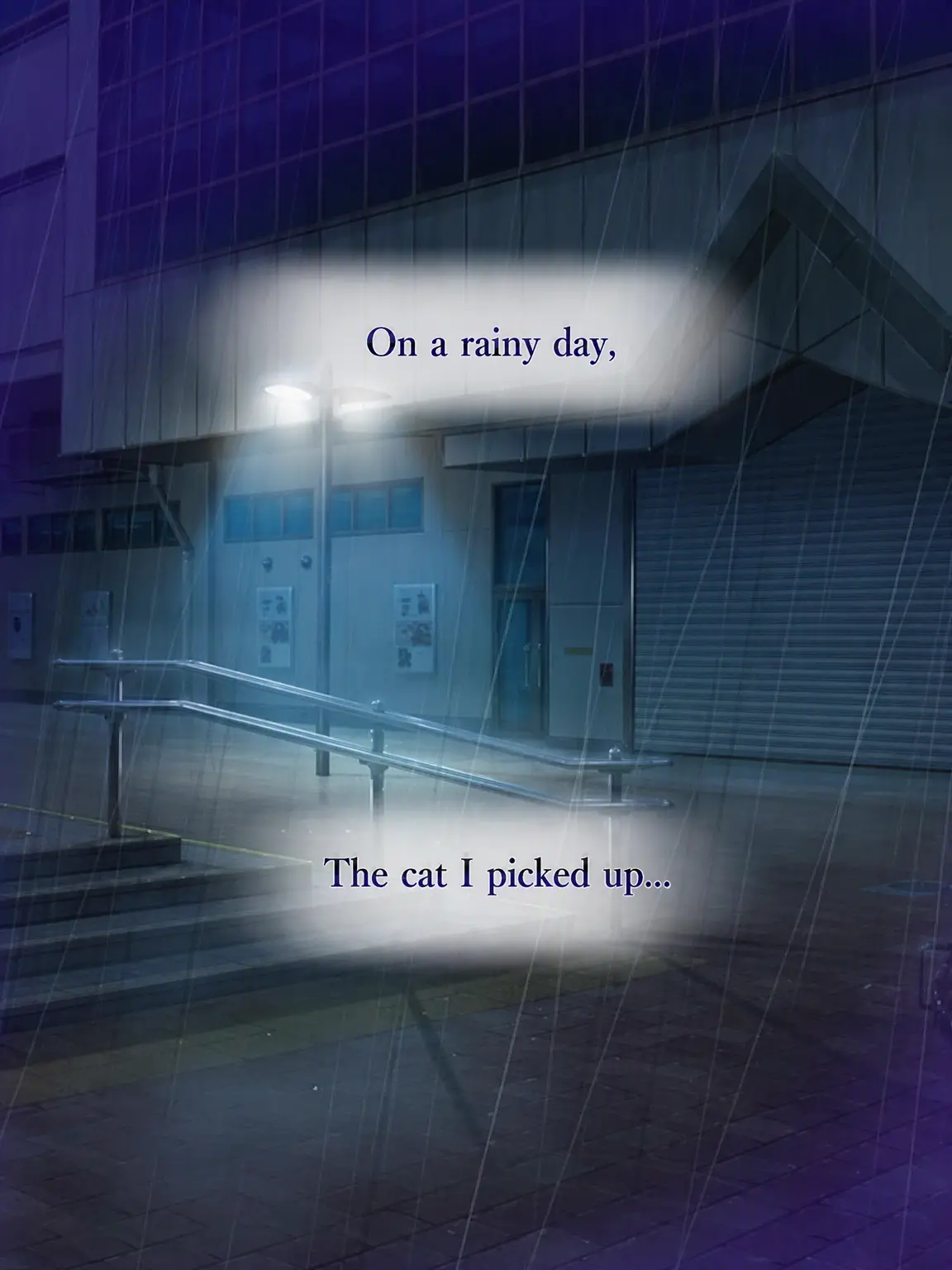 Hyoukun_6214의 The Cat I Picked Up on a Rainy Day 🦑Ver.