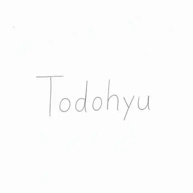 Profile image of TodoHyu