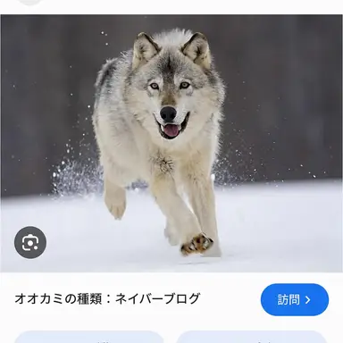 Profile image of 狼