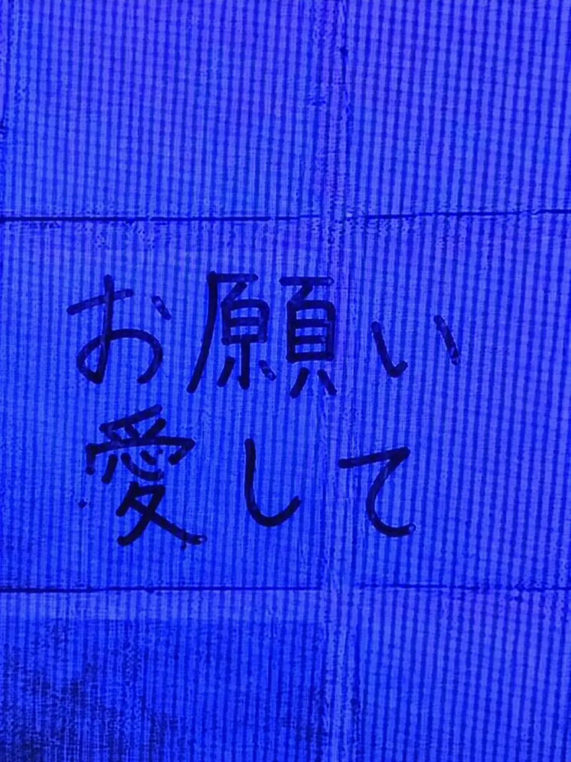 PipOpipo_0110의 就職先を間違えたら