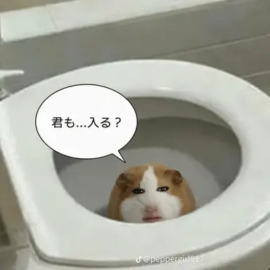 Profile image of パク・ヨウ