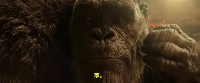 Profile image of キングコング