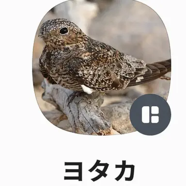 Profile image of ソクトクセ