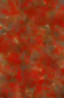 Profile image of Jazz