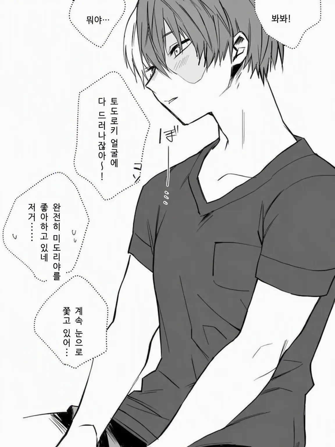 SmellyDiet9950의 토도로키의 첫사랑