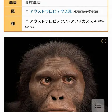 Profile image of 狼