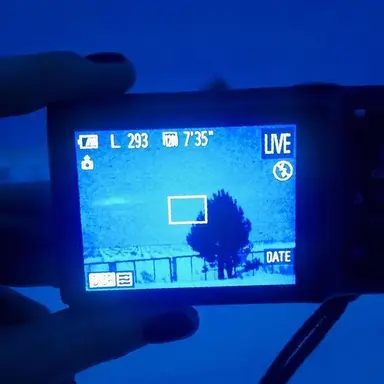 Profile image of Pakmo