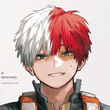 Profile image of Shoto Todoroki