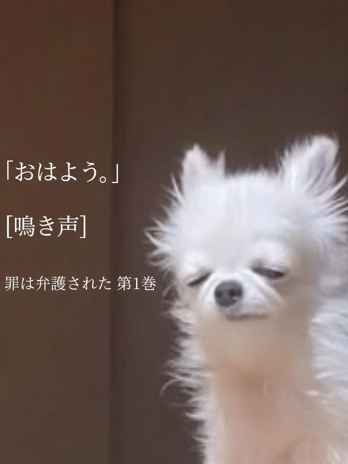 Imsocrazyhelpmeeeeeee의 個人用