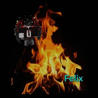 Profile image of Felix