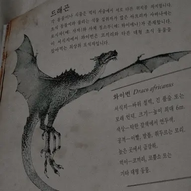 Profile image of 안신