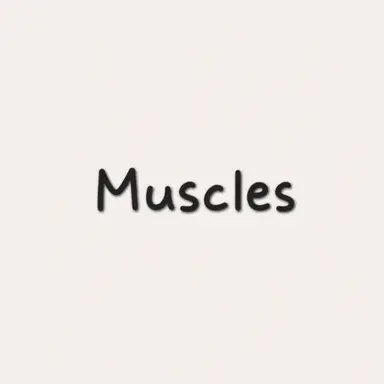 Profile image of Muscle