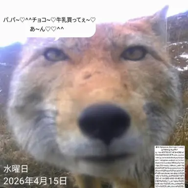 Profile image of キム・ヨウ